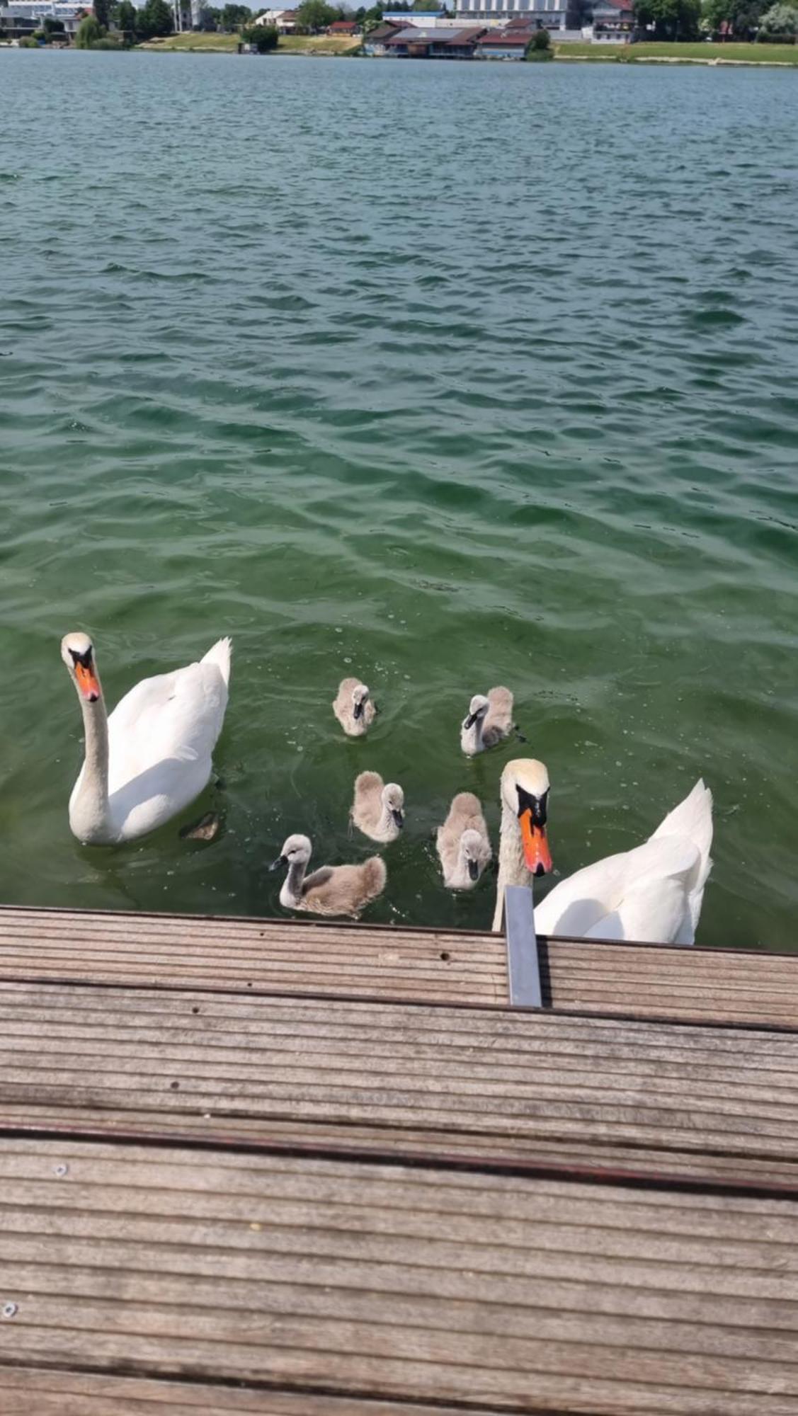 Topsenec-Lakeside Home Dış mekan fotoğraf